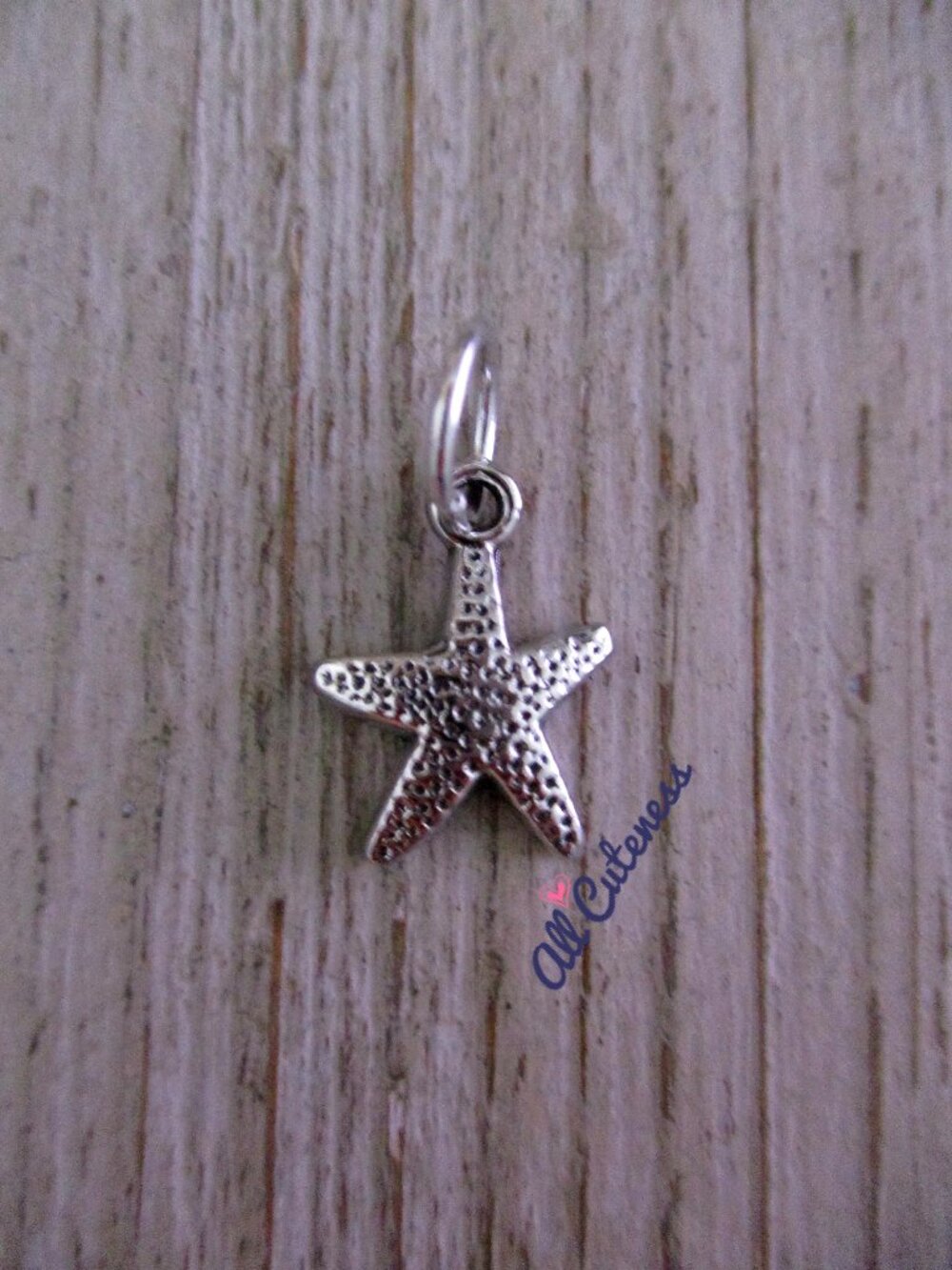 🎀 Starfish Charm